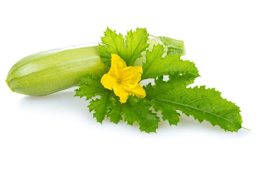 ripe marrow vegetable with leaf isolated on a white background