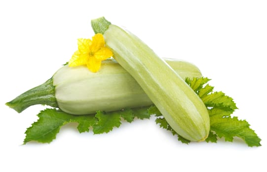 ripe marrow vegetable with leaf isolated on a white background