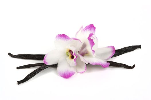 Madagascar vanilla pods and exotic orchids