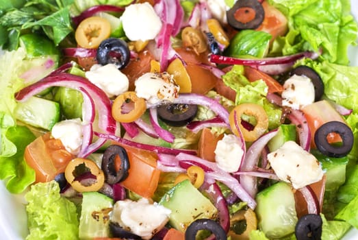 greece salad at plate closeup
