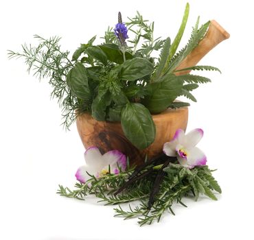 Relaxing herbs for aromatherapy
