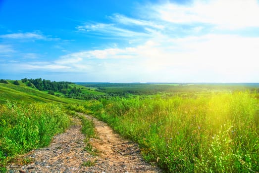 Summer landscape with green grass, road and clouds