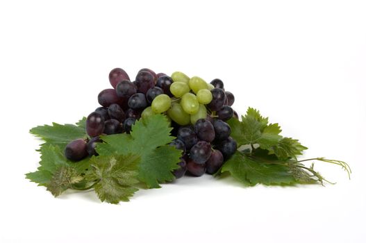 Grapes and leaves