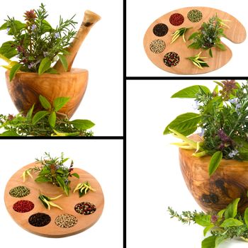 
Herb collage with basil, mint, thyme, rosemary, parsley and peppercorn