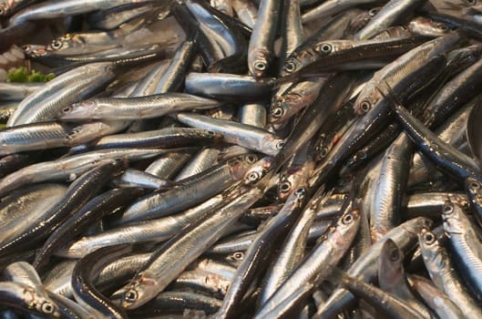 Small fish lying on the counter of the fish market