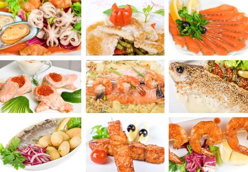 Set of different tasty fish dish