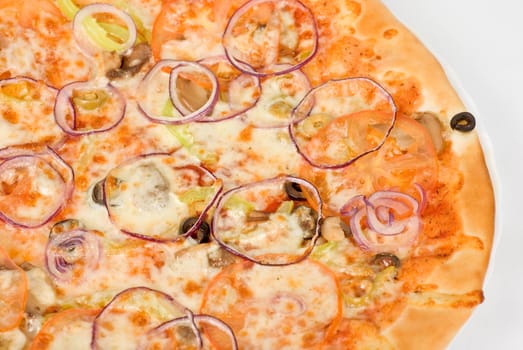 vegetable pizza closeup with tomato, Bulgarian pepper, onion, olive, champignons and mozzarella cheese