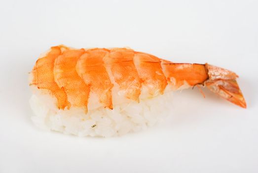 nigiri sushi closeup isolated on white background
