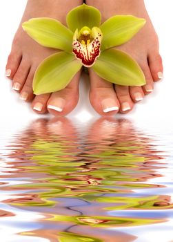 Pedicured feet with beautiful orchid and water reflection