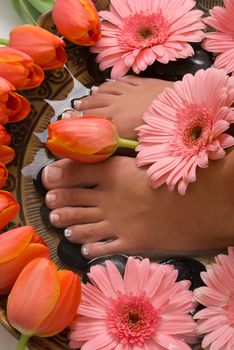 Spa treatment with beautiful elegant tulips and gerberas

