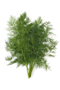 Organic dill herb from my garden