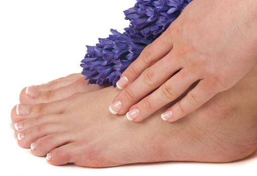 Pedicured feet, manicured hands and aromatic flowers in a spa