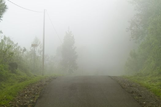 A lone road goes straight into the thick fog