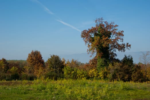 rural landscape of the Veneto in Italy