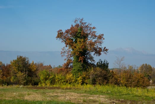 rural landscape of the Veneto in Italy