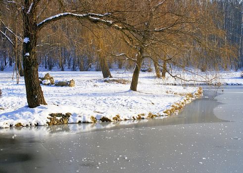 landscape beside coast freezing lake at good winter day