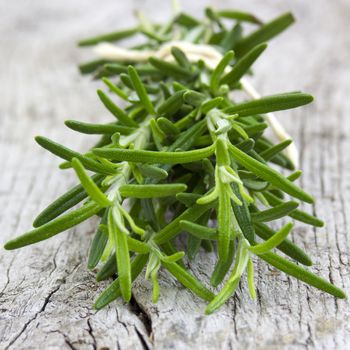 fresh rosemary (Rosmarinus officinalis)