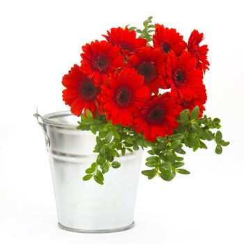 bouquet of gerbera flowers in a bucket