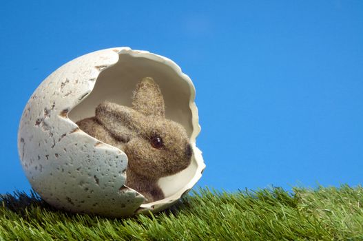 easter bunny insite egg with green grass and blue sky