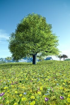 An image of a nice tree in the summer meadow