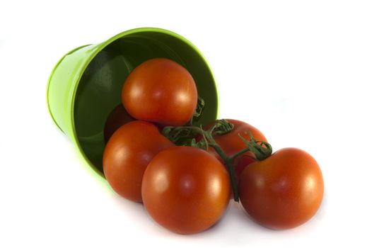 green container with red tomatoes on isolated white background