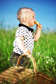  picnic on green grass boy and basket