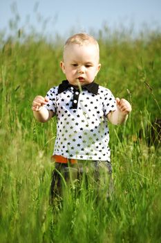 little boy play in green grass