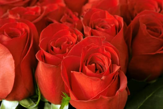 decorative beautiful bouquet of red fresh roses