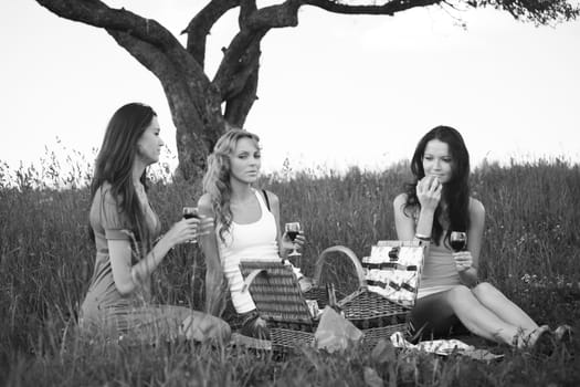 girlfriends on picnic in green grass