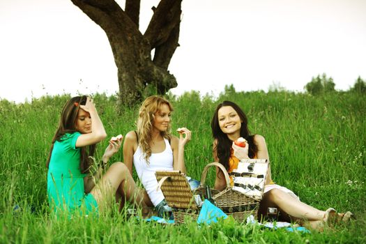 girlfriends on picnic in green grass