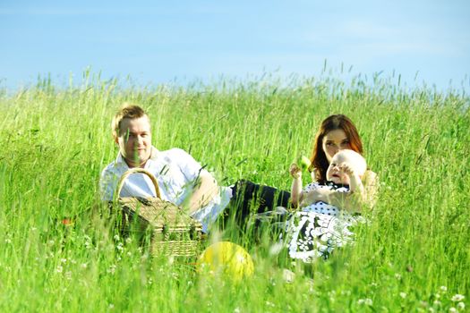  happy family on picnic in green grass