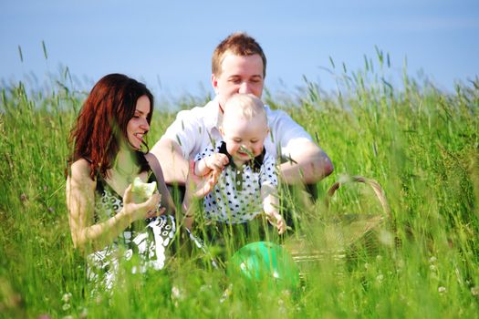  happy family on picnic in green grass