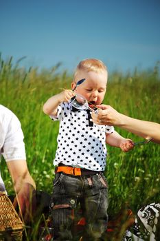  happy family on picnic in green grass