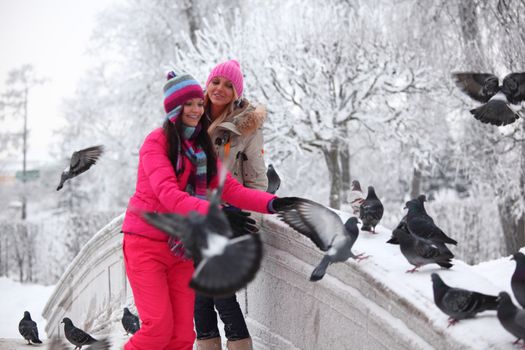 winter women give food to the pigeon