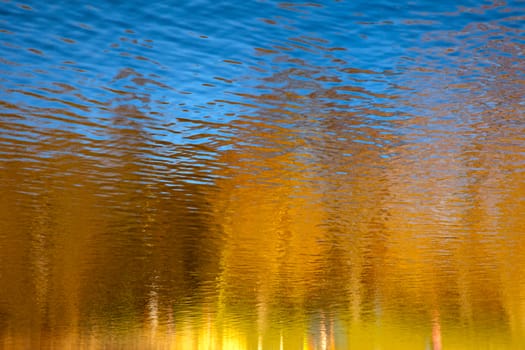 Sunny Landscape Tree Water Reflection Background Abstract