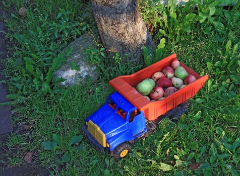 apple in basket toy car