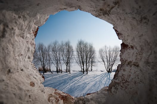 Landscape with trees and frozen lake through the rounded window