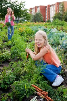 Two young girls working in vegetable garden