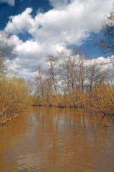 white cloud on brown river