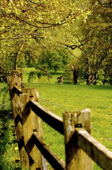 Very green and typical view of the English countryside as viewed over a wooden fence and down a vale.