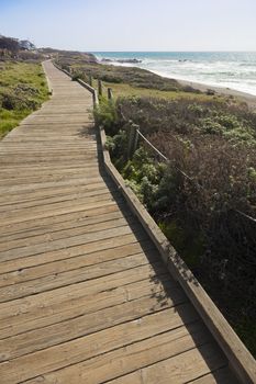 Wooden Walkway Along Ocean Coast Line.