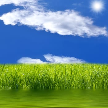 Summer green meadow against the blue cloudy sky.  A landscape background