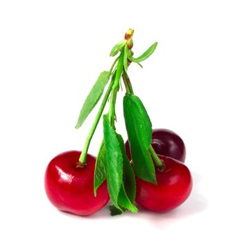 Cherry with leafs isolated on white background