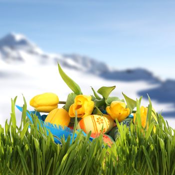 Easter basket with colored eggs and yellow tulips in spring mountains