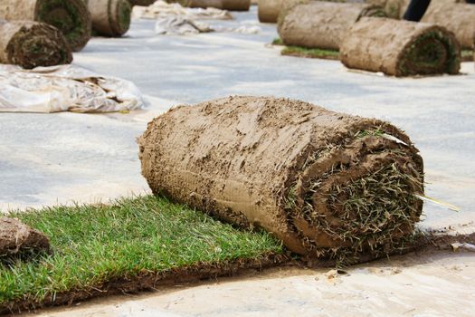 Turf grass rolls partially unrolled close up