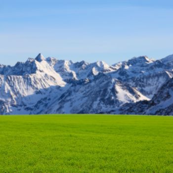 Green field and high mountains background