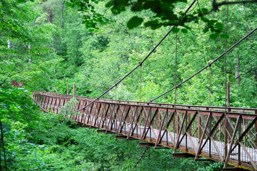 Old narrow bridge in beautiful forest
