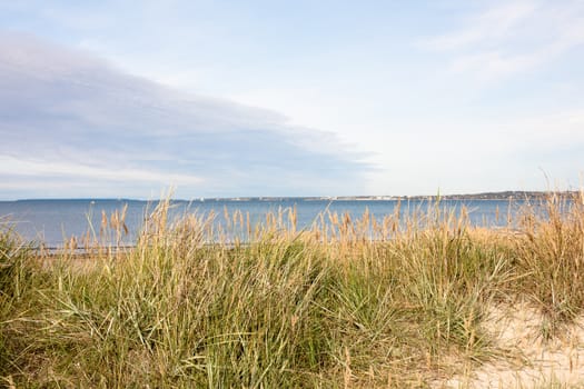 A embankment view with green grass
