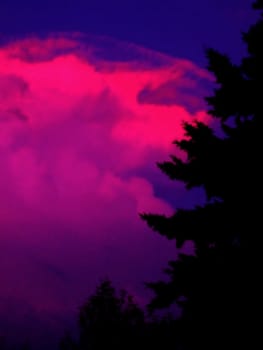 Pink cumulonimbus clouds at sunset.