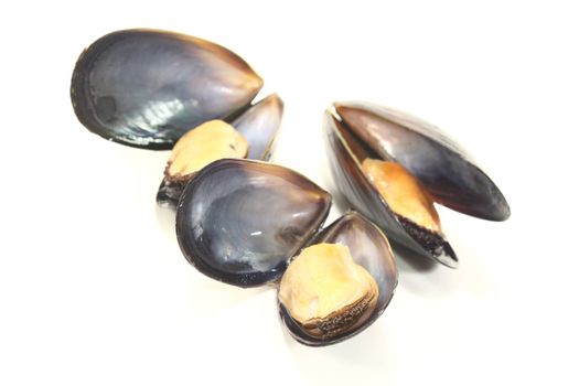 three fresh cooked Mussels on a white background